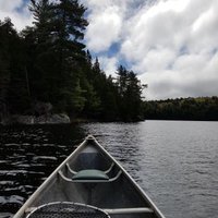 Will Neff (@willneff) 's Twitter Profile