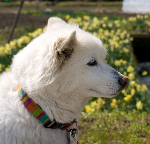 wests's profile picture. Party produce.