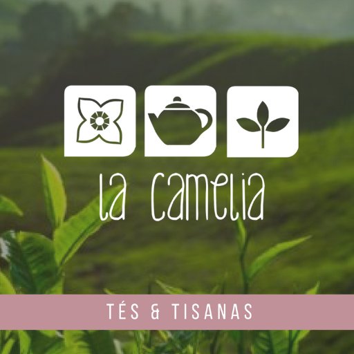 El té como nunca lo habías probado. Nos especializamos en té de hoja suelta y tisanas, te llevamos hasta la puerta de tu casa el maravilloso mundo del té 🍃