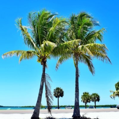Florida_Recon's profile picture. FloridaReconnaissance strives to obtain information about the sunshine state by visual observation. #floridarecon to share your favorite FL destinations. 🌞
