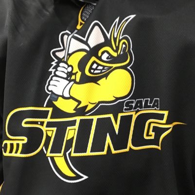 The Sting is an Elite Lacrosse team that consist of kids from the Southern Alberta Lacrosse Assoc. Facebook: Southern Alberta Elite Lacrosse