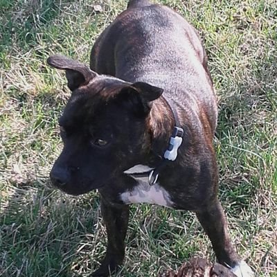 34500Jeremie's profile picture. Yo les gars ,