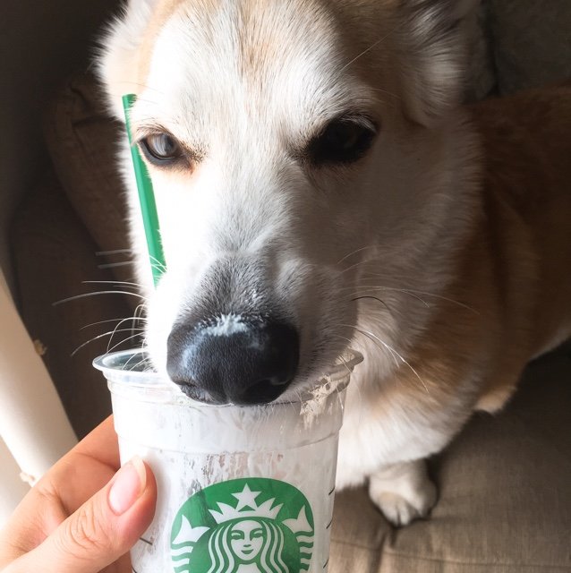 bananao3's profile picture. たまに辛口。主婦。働き始めました。