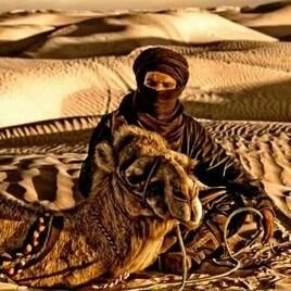 اعقل الناس من استخدم عقله بحيادية تامة..!!
