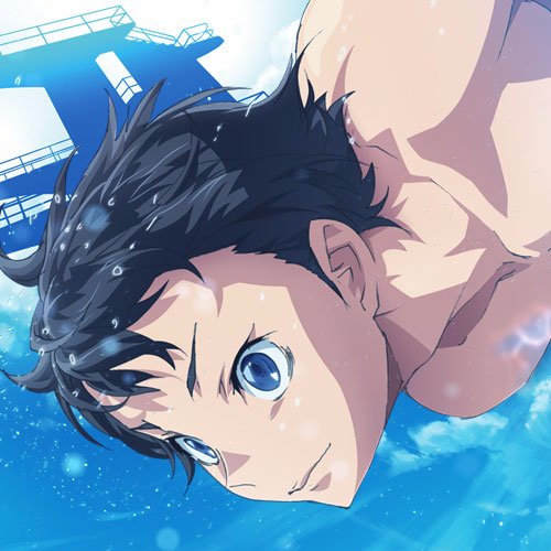 アニメ 「DIVE!!」公式さんのプロフィール画像