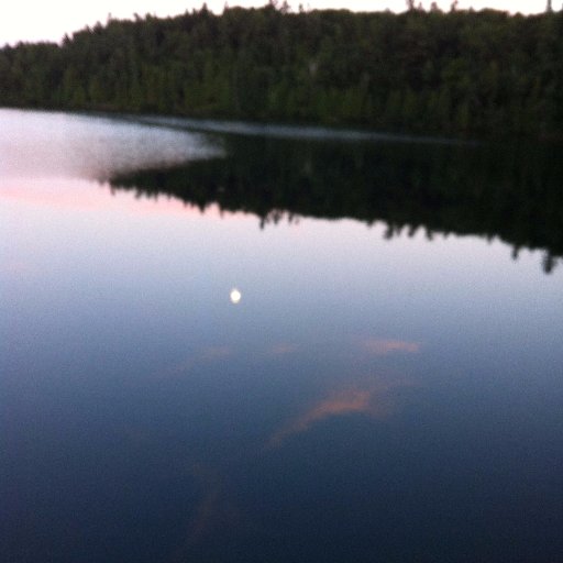 TraderCanada1's profile picture. nuff said