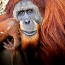 Peter Jefferson - @SensualAnimal - Twitter