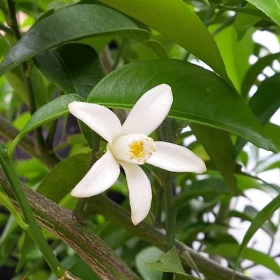 0704_daisuki's profile picture. 福島県民です。
福島の自然豊かなところ、人の良さが大好きです