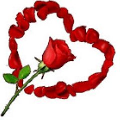 jeyanthi_n's profile picture. 