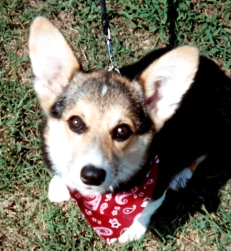 CallMeDi's profile picture. 