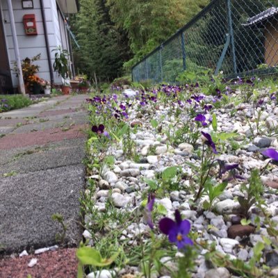 種をまく。種をまき続けて終わる人|ゼロの焦点に在住|次代を担う若者の台頭がこの上ない喜び|妄想好きなリアリスト|創価学会員