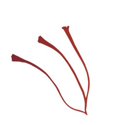 زعفران قائنات ايراني اصلي للتواصل فقط واتساب98948080يوجد فقط 5غرام بسعر 15فقط مع التوصيل مجانا لجميع مناطق الكويت