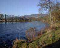 pitlochryAC's profile picture. 