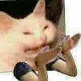 TheNerd484's profile picture. just a dood