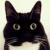 Curious Zelda (@CuriousZelda) Twitter profile photo