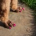 HotPinkToenails (@hotpinktoenails) Twitter profile photo