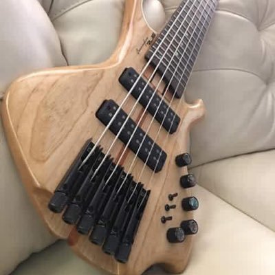 I'm a musician-Bass Player, Luthier, Fine Artist, Music Producer, work at Cunningham Bass and Guitarz and Bass Player for the Adele Experience Show in Australia