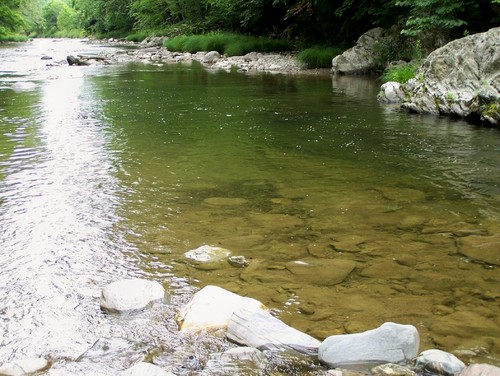 anglersflybox's profile picture. Flyfishing