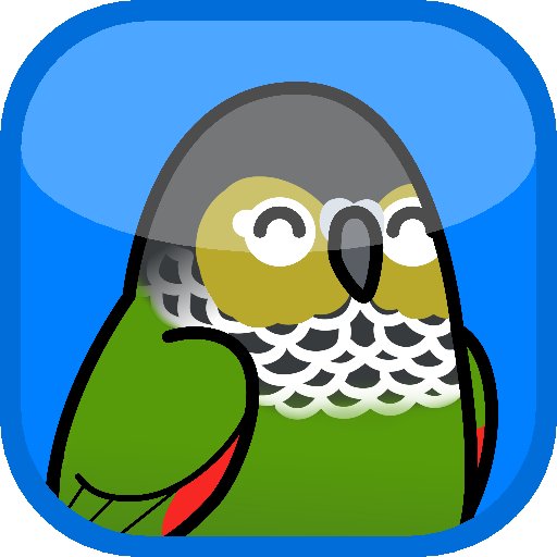 My conure Bird is my life, and he even inspired me to make a game where you can learn about parrots! I want a better world for #birds. https://t.co/sus5qxuYt2