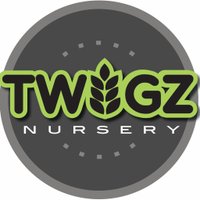 Twigz Nursery(@Twigznursery) 's Twitter Profile Photo