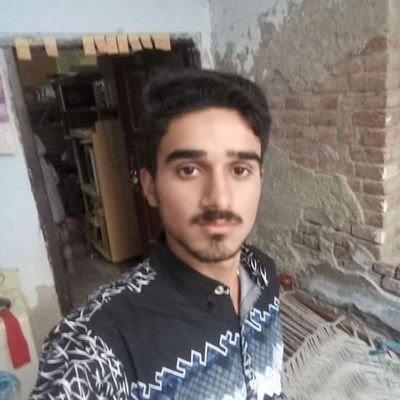 ShanAli63673245's profile picture. 