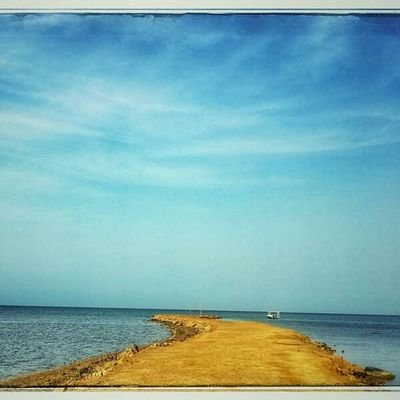 SabirHu35794978's profile picture. Sabir Husain