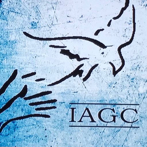 IAGC empowers educators, families & communities by advancing effective practices, programs and policies to promote the development of gifted talented children.