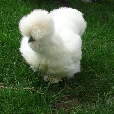 Giselledu69's profile picture. Je suis pas ta poulette, mais une vraie bombette.