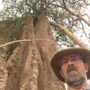 Ted Carey - @c2a3d518fa624e2 - Twitter