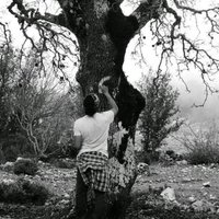 Şahin Can Şahan (@cshsahan) Twitter profile photo
