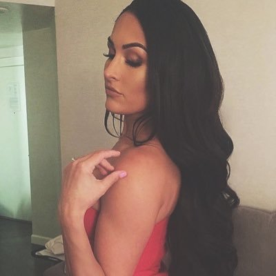 fearbriemode2's profile picture. just a regular fan of the bella twins😏❤ my instagram ; @ fearbriemode2