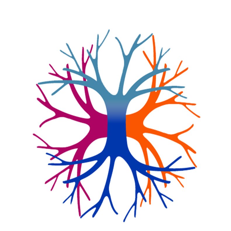 neuroSURF Profile