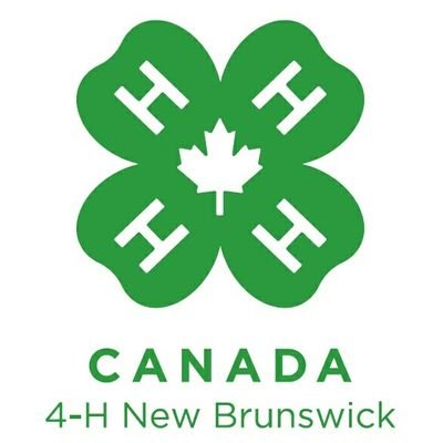 4HNB's profile picture. 4-H New Brunswick is a rural, community based organization for youth between the ages of 6 and 21. Positive Youth Development at its best! Join the excitement.