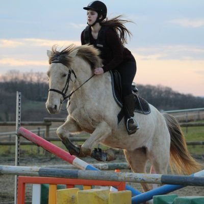 MMMA_89's profile picture. Future chercheuse sur la police 👮‍♀️ 
Recueille des témoignages sur le quotidien policier et les relations police-population