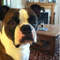Eric Imsande (@ericimsande) 's Twitter Profile