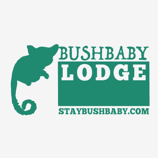 staybushbaby Profile Picture