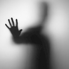 gossipdigsc's profile picture. 👀