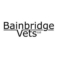 Bainbridge Vets (@bainbridgevets) 's Twitter Profile