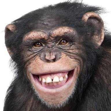 emap_1123's profile picture. 梶浦病