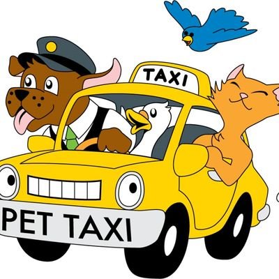 Armonía directorio blusa mascota taxi +56945113120 (@Mascotaxi2) / Twitter