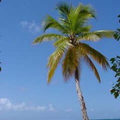 alexbartowitz's profile picture. 