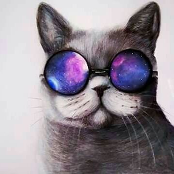 TheKillMonster1's profile picture. 