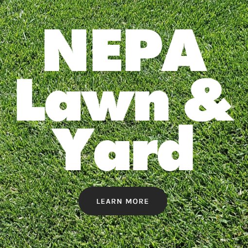 localchoiceprop's profile picture. 