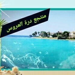 durralive's profile picture. استمتع مع عائلتك في أجواء بحريه خياليه في منتجع درة العروس السياحي يوجد لدينا فلل وشاليهات بشواطئ مختلفه وأسعار متميزه للحجز 0555658056 👇 👇 اضفني سناب شات