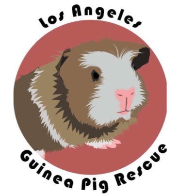 Saskia from LA Guinea Pig Rescueさんのプロフィール画像