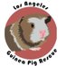 LA Guinea Pig Rescue (@laguineapigresc) Twitter profile photo LA Guinea Pig Rescue (@laguineapigresc) Twitter profile photo