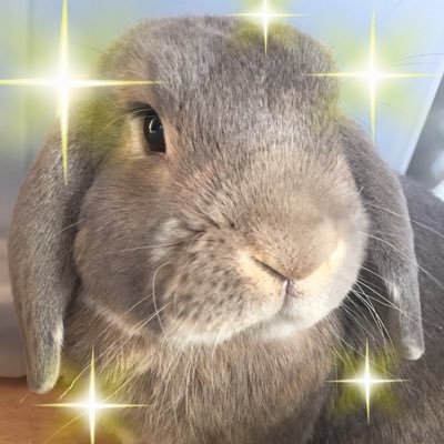 じゅんさんのプロフィール画像