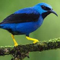 naveen_m_k_'s profile picture. 💊medico💉