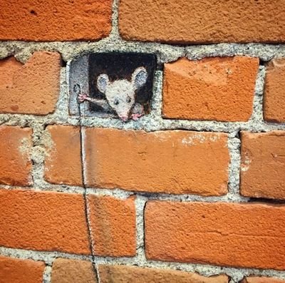 YawDude's profile picture. Just a bull with a huge Black Dick