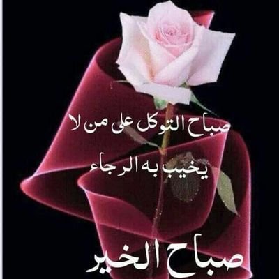 ‏رافق الذيب ولو اكلك

وﻻ ترافق النذل ولو رفعك